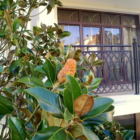 Apartament Crown *